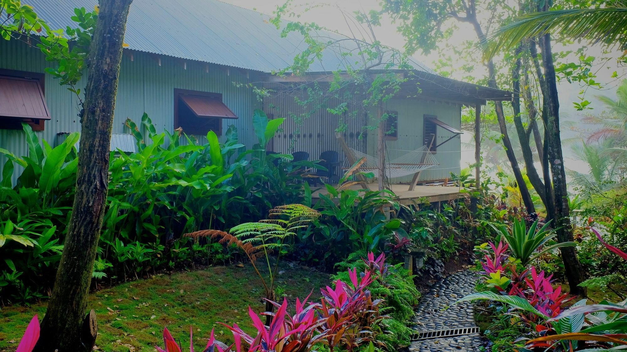 Pagua Bay House - Oceanfront Cabana'S Marigot Ngoại thất bức ảnh